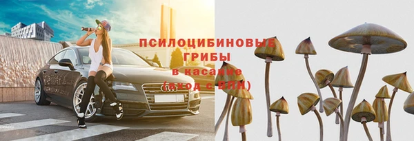 ГАЛЛЮЦИНОГЕННЫЕ ГРИБЫ Нестеровская