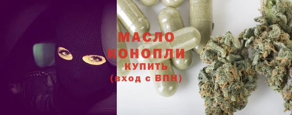 твердый Дмитров