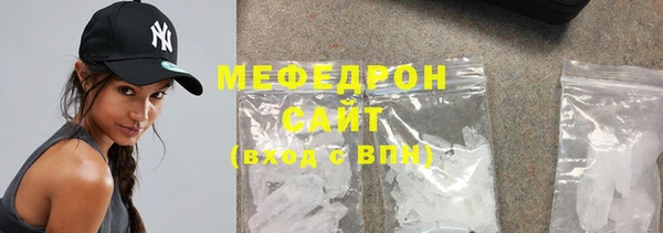 индика Дмитриев
