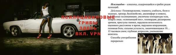 соль ск Няндома