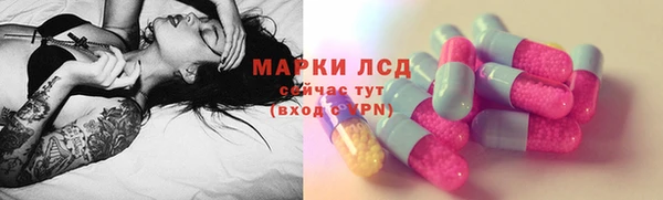 соль ск Няндома