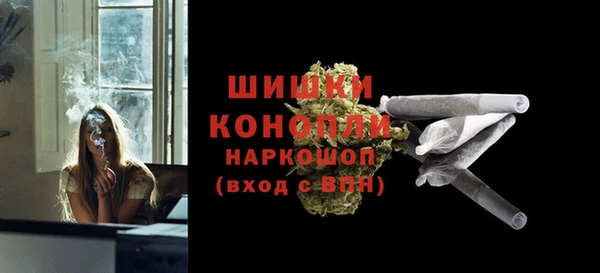гидра Фёдоровский
