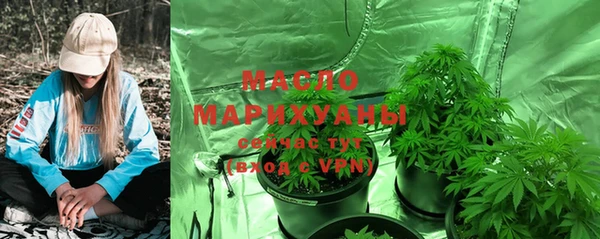 ГАЛЛЮЦИНОГЕННЫЕ ГРИБЫ Нестеровская