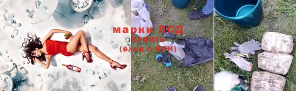 ГАЛЛЮЦИНОГЕННЫЕ ГРИБЫ Нестеровская