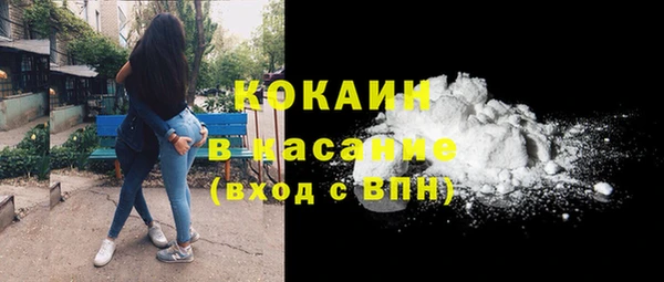 соль ск Няндома