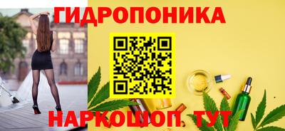 крисы Балаково