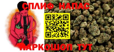 крисы Балаково