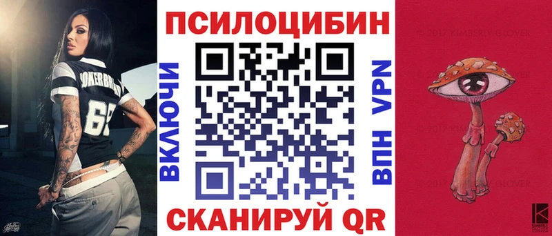 Псилоцибиновые грибы Psilocybe  Белебей 