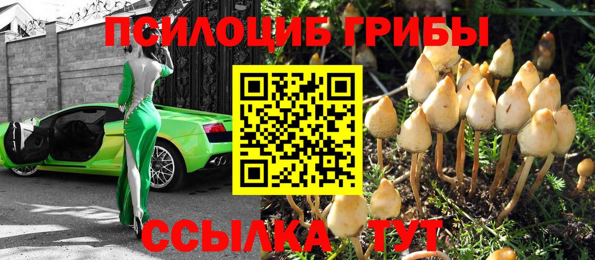 Белебей  Галлюциногенные грибы Magic Shrooms  Вход с VPN  Галлюциногенные грибы Magic Shrooms 